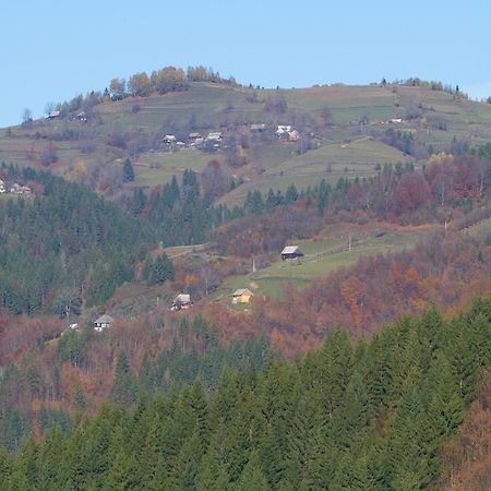 Cîmpeni 国王谷阳光波特斯提旅馆酒店 外观 照片